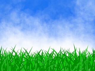 Fototapeta premium grass and sky nature background. nature illustration background.