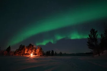 Fototapeten aurora borealis winter landscape northern lights © Dimitri