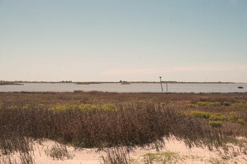 Wetland, Marsh, Water, Reed, Reeds, Grass, Grasses, Grassy, Sky, Coastal, Coastline, Shore, Shoreline