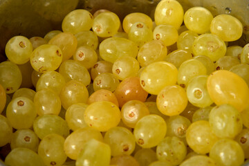 Fresh green grapes