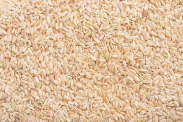 brown rice texture on white background