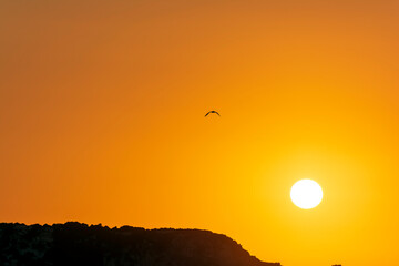 Gialova lagoon sunset. The Gialova lagoon is one of the most important wetlands in Europe.