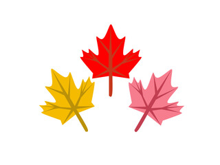 Maple flower collection. Yellow, red and purple maple.