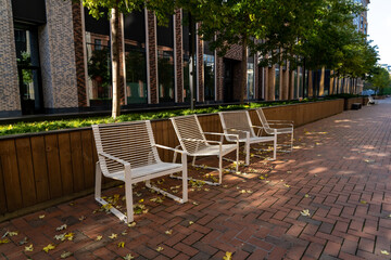 Fototapeta na wymiar Outdoor gardening image for residential apartment building concept. Empty metal chairs in city courtyard with maples growing in rows in alley in fall