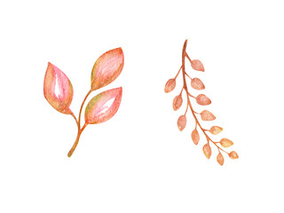 Watercolor illustration, isolated element, leaves, twig. Brown, red leaves