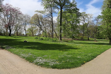 Le parc Napoleon III au printemps, ville de Vichy, département de l'Allier, France