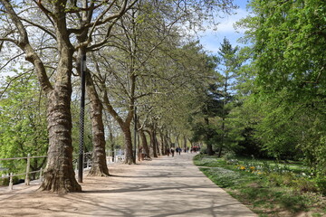 Fototapeta premium Le parc Napoleon III au printemps, ville de Vichy, département de l'Allier, France