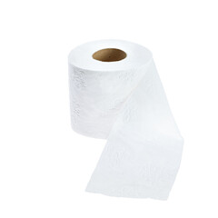 Toilet paper isolated on white background. close-up