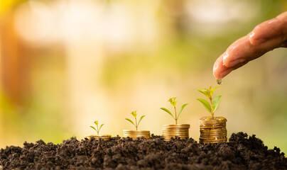 hand watering on coin with tree, financial growth concept, investment