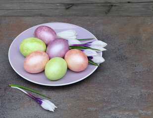 Multicolored Easter eggs on a plate with spring flowers crocuses, spring composition, top view, selective focus.