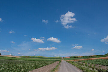 Fototapeta na wymiar 夏の畑作地帯を通る道路 
