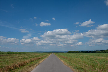 緑の草原を通る真っ直ぐな道路
