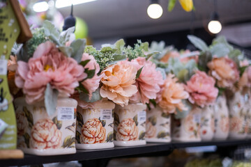 Colorful tulips in a field on a white background