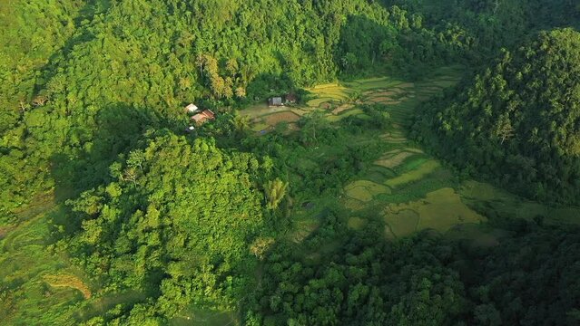The green rice fields in the karst mountains, Asia, northern Vietnam, Cao Bang, towards Lang Son, in summer on a sunny day.