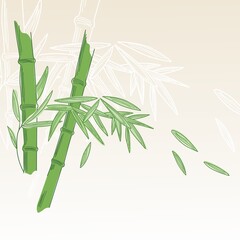 Bamboo - 500580540