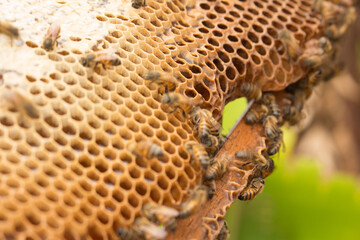 Teamwork, incredible results and rich in benefits.