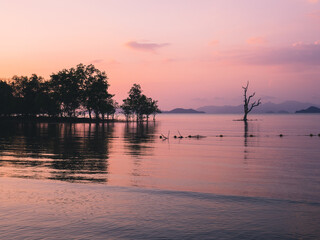 Fototapeta premium Scenic view of sunset orange sky at peaceful sea bay with lonely tree in the middle of water and layer islands. Koh Mak Island, Trat, Thailand. Minimal background.
