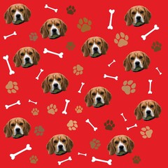 pattern with dogs bones step