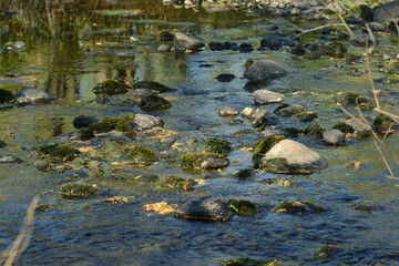 l' eau coule, et l'oiseau roucoule