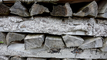 Fallen trees stacked for firewood sawing shredding nature forest