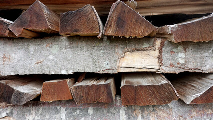 Fallen trees stacked for firewood sawing shredding nature forest