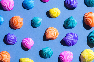 Colorful shells on blue background, Tropical and cool summer background,  Creative idea minimal summer concept