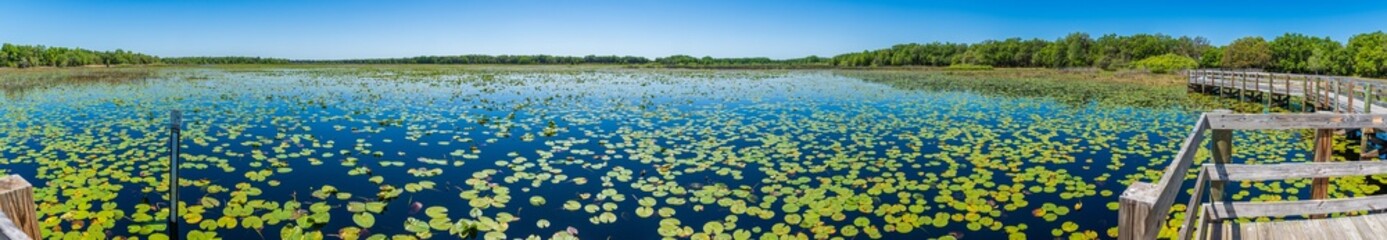 Obraz na płótnie Canvas Panorama of Crews Lake Wilderness Park - Spring Hill, Florida, USA