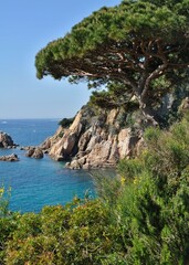 Typical Costa Brava nature and coastline 