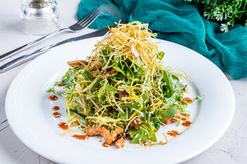 asian salad with chicken on a white plate