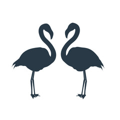 A couple of flamingo birds in love stock illustration on white background. Vector silhouette flamingo love talk