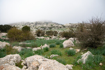A walk in the National park Torcal de Antequera, Andalusia, Spain