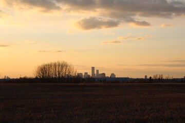 sunset over the field