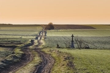 country road through fields in the Polish countryside