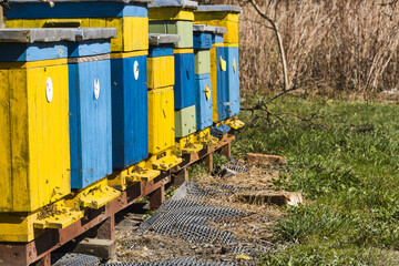 an apiary from the Polish countryside