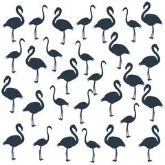 Papier Peint photo Flamingo Tropical wildlife, flamingo bird, seamless pattern stock illustration