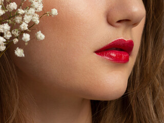 Macro photo of female lips with beautiful skin and nude makeup. light transparent gloss on full...
