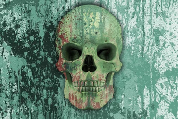 Fotobehang skull on the wall © reznik_val