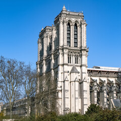 Paris, Notre-Dame cathedral and typical facades on the ile de la Cite 
 - obrazy, fototapety, plakaty