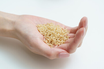玄米を持つ片方の手