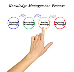 Components of Process of Knowledge Management