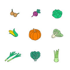 Vegetables, greens, fruits set. Isometric vector illustration in flat design. Outline, linear style, line art. Meal preparation. Icon.