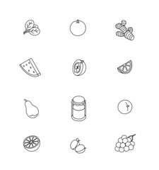 Vegetables, greens, fruits set. Isometric vector illustration in flat design. Outline, linear style, line art. Meal preparation. Icon.