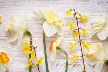 Daffodil flowers on wooden background, close-up. Top view.