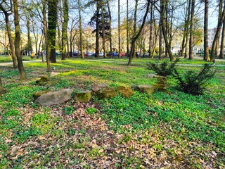 park in autumn Głazy W Parku  © woodyd
