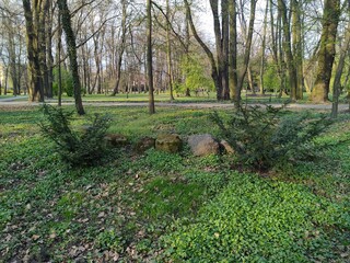 spring in the park Głazy w parku 2 © woodyd