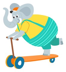Funny elephant animal character on skate rolling