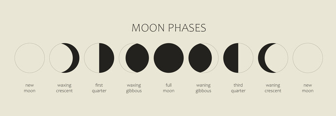 The Moon, Moon Phases on a black background. The whole cycle from the new moon to the full moon. Astronomy and lunar calendar vector illustration