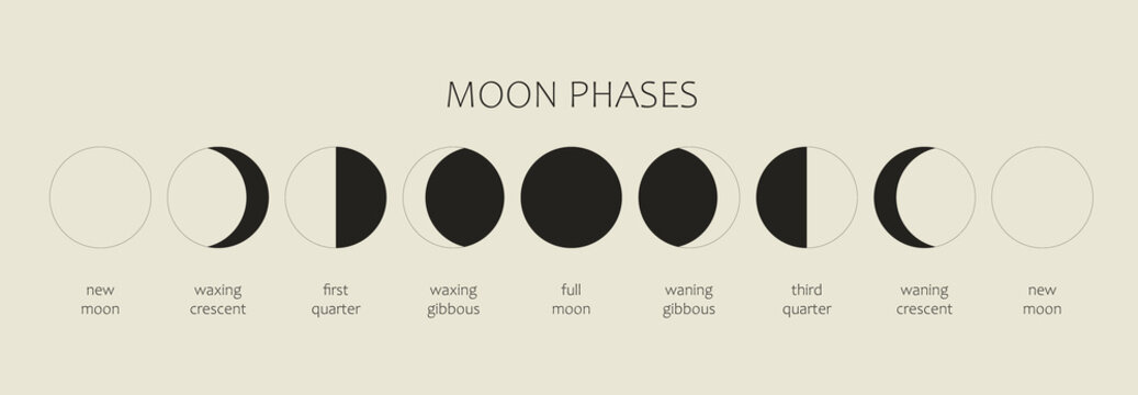 The Moon, Moon Phases on a black background. The whole cycle from the new moon to the full moon. Astronomy and lunar calendar vector illustration