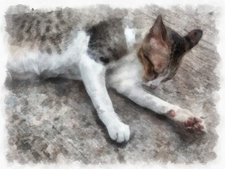 marble cat lying on the floor watercolor style illustration impressionist painting.