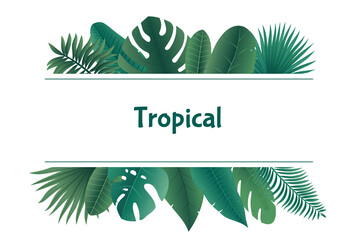 Jungle leaves framing. Exotic tropical greenery background with leaves botanical boarder. Vector illustration